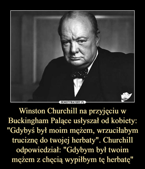 Winston Churchill na przyjęciu w Buckingham Palące usłyszał od kobiety: "Gdybyś był moim mężem, wrzuciłabym truciznę do twojej herbaty". Churchill odpowiedział: "Gdybym był twoim mężem z chęcią wypiłbym tę herbatę"