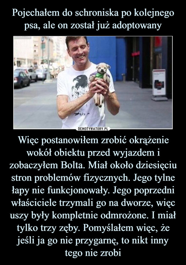 Więc postanowiłem zrobić okrążenie wokół obiektu przed wyjazdem i zobaczyłem Bolta. Miał około dziesięciu stron problemów fizycznych. Jego tylne łapy nie funkcjonowały. Jego poprzedni właściciele trzymali go na dworze, więc uszy były kompletnie odmrożone. I miał tylko trzy zęby. Pomyślałem więc, że jeśli ja go nie przygarnę, to nikt inny tego nie zrobi –  