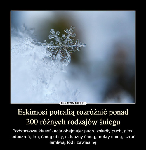Eskimosi potrafią rozróżnić ponad
200 różnych rodzajów śniegu