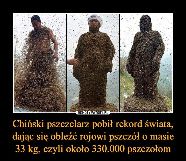 Chiński pszczelarz pobił rekord świata, dając się obleźć rojowi pszczół o masie 33 kg, czyli około 330.000 pszczołom