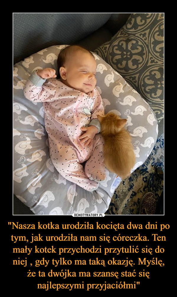 "Nasza kotka urodziła kocięta dwa dni po tym, jak urodziła nam się córeczka. Ten mały kotek przychodzi przytulić się do niej , gdy tylko ma taką okazję. Myślę, że ta dwójka ma szansę stać się najlepszymi przyjaciółmi" –  