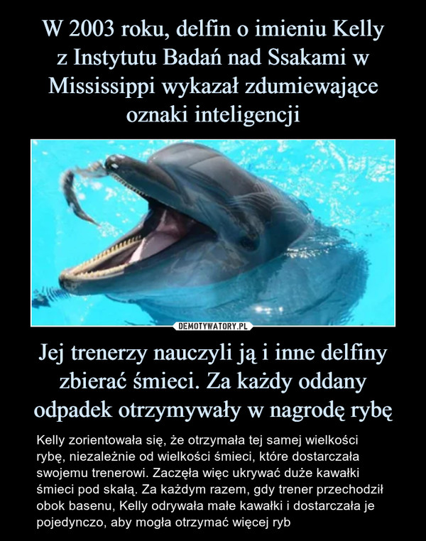 W 2003 roku, delfin o imieniu Kelly
z Instytutu Badań nad Ssakami w Mississippi wykazał zdumiewające oznaki inteligencji Jej trenerzy nauczyli ją i inne delfiny zbierać śmieci. Za każdy oddany odpadek otrzymywały w nagrodę rybę