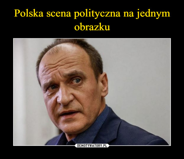Polska scena polityczna na jednym obrazku