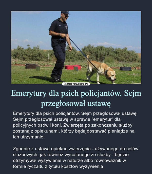 Emerytury dla psich policjantów. Sejm przegłosował ustawę – Emerytury dla psich policjantów. Sejm przegłosował ustawę Sejm przegłosował ustawę w sprawie "emerytur" dla policyjnych psów i koni. Zwierzęta po zakończeniu służby zostaną z opiekunami, którzy będą dostawać pieniądze na ich utrzymanie.Zgodnie z ustawą opiekun zwierzęcia - używanego do celów służbowych, jak również wycofanego ze służby - będzie otrzymywał wyżywienie w naturze albo równoważnik w formie ryczałtu z tytułu kosztów wyżywienia 