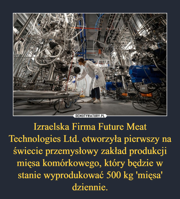 Izraelska Firma Future Meat Technologies Ltd. otworzyła pierwszy na świecie przemysłowy zakład produkcji mięsa komórkowego, który będzie w stanie wyprodukować 500 kg 'mięsa' dziennie.