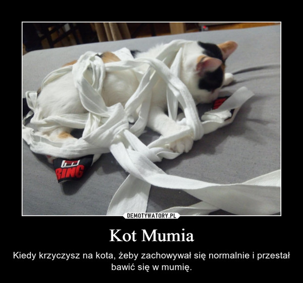 Kot Mumia – Kiedy krzyczysz na kota, żeby zachowywał się normalnie i przestał bawić się w mumię. 