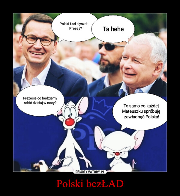 Polski bezŁAD