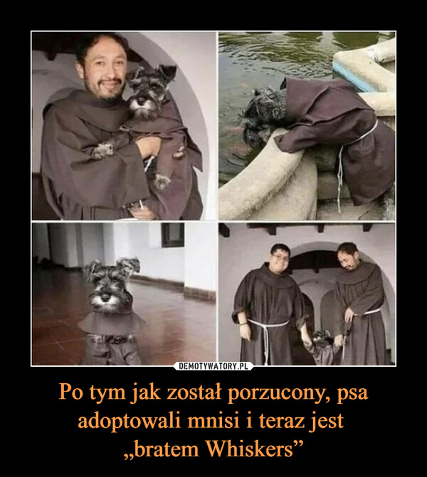 Po tym jak został porzucony, psa adoptowali mnisi i teraz jest „bratem Whiskers” –  