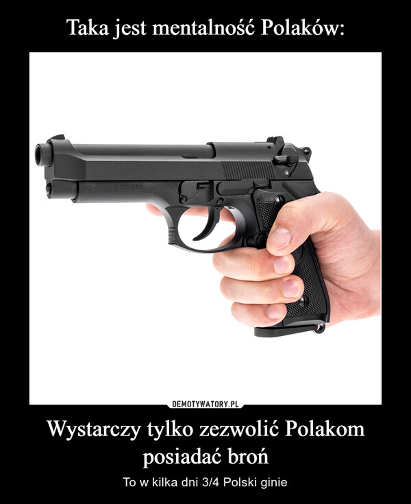 Taka jest mentalność Polaków: Wystarczy tylko zezwolić Polakom posiadać broń