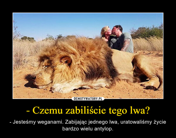 - Czemu zabiliście tego lwa? – - Jesteśmy weganami. Zabijając jednego lwa, uratowaliśmy życie bardzo wielu antylop. 