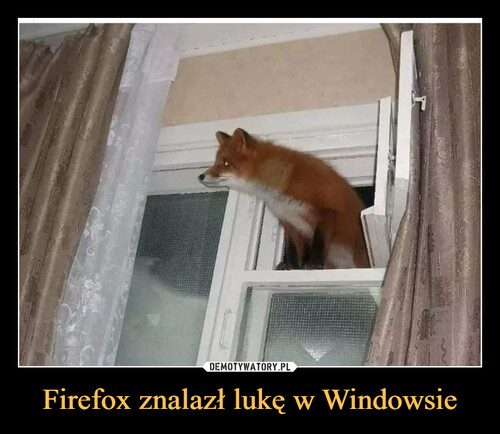 Firefox znalazł lukę w Windowsie