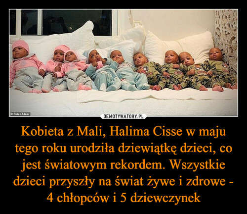 Kobieta z Mali, Halima Cisse w maju tego roku urodziła dziewiątkę dzieci, co jest światowym rekordem. Wszystkie dzieci przyszły na świat żywe i zdrowe - 4 chłopców i 5 dziewczynek