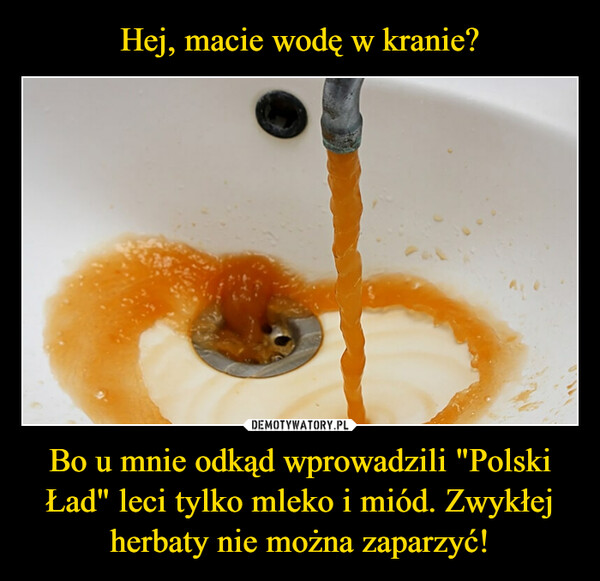 Hej, macie wodę w kranie? Bo u mnie odkąd wprowadzili "Polski Ład" leci tylko mleko i miód. Zwykłej herbaty nie można zaparzyć!