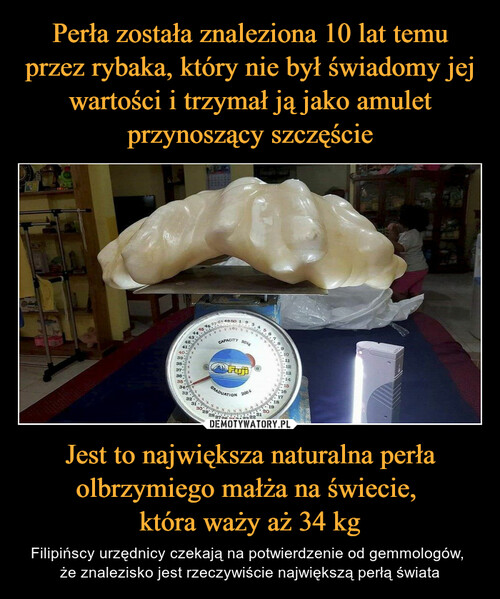 Perła została znaleziona 10 lat temu przez rybaka, który nie był świadomy jej wartości i trzymał ją jako amulet przynoszący szczęście Jest to największa naturalna perła olbrzymiego małża na świecie, 
która waży aż 34 kg