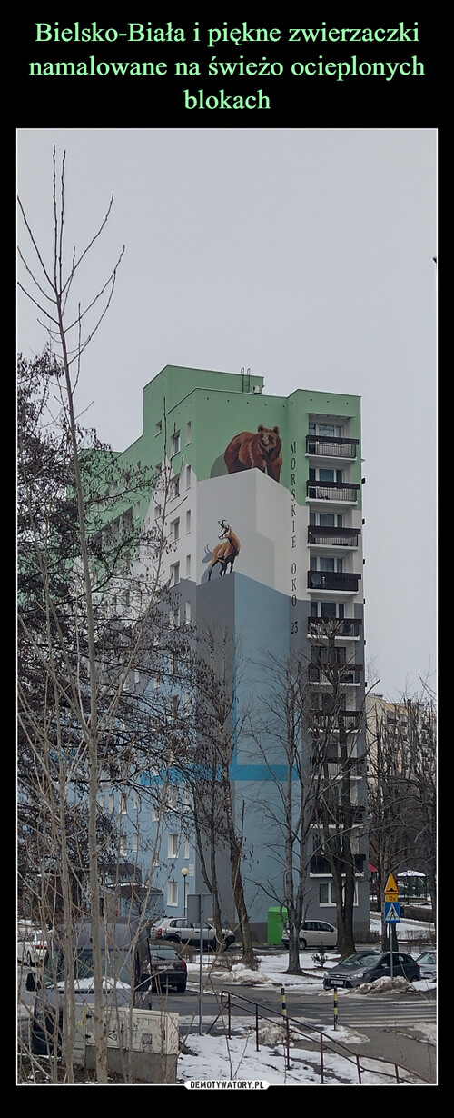 Bielsko-Biała i piękne zwierzaczki namalowane na świeżo ocieplonych blokach