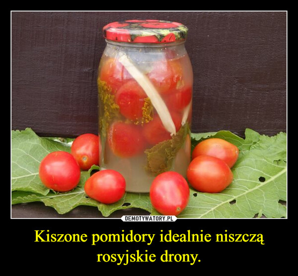 Kiszone pomidory idealnie niszczą rosyjskie drony. –  