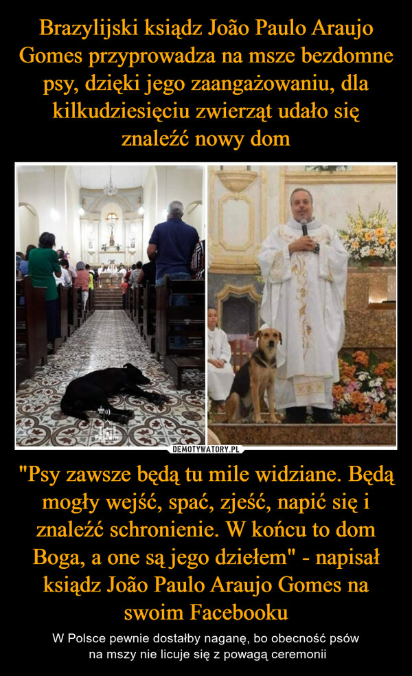 "Psy zawsze będą tu mile widziane. Będą mogły wejść, spać, zjeść, napić się i znaleźć schronienie. W końcu to dom Boga, a one są jego dziełem" - napisał ksiądz João Paulo Araujo Gomes na swoim Facebooku – W Polsce pewnie dostałby naganę, bo obecność psów na mszy nie licuje się z powagą ceremonii 