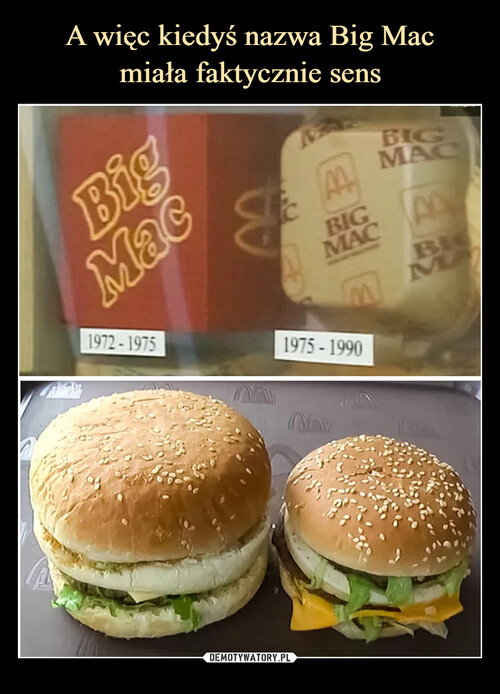 A więc kiedyś nazwa Big Mac
miała faktycznie sens