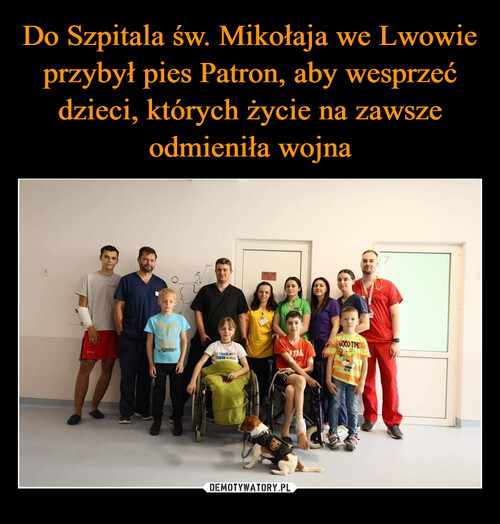 Do Szpitala św. Mikołaja we Lwowie przybył pies Patron, aby wesprzeć dzieci, których życie na zawsze odmieniła wojna