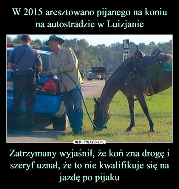 Zatrzymany wyjaśnił, że koń zna drogę i szeryf uznał, że to nie kwalifikuje się na jazdę po pijaku –  