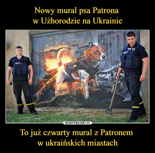 Nowy mural psa Patrona 
w Użhorodzie na Ukrainie To już czwarty mural z Patronem 
w ukraińskich miastach
