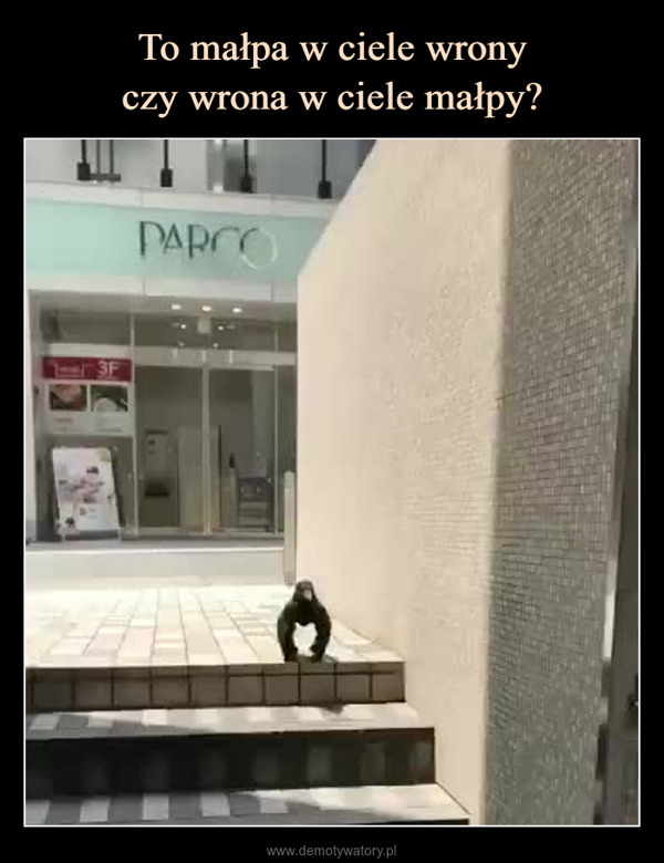  –  