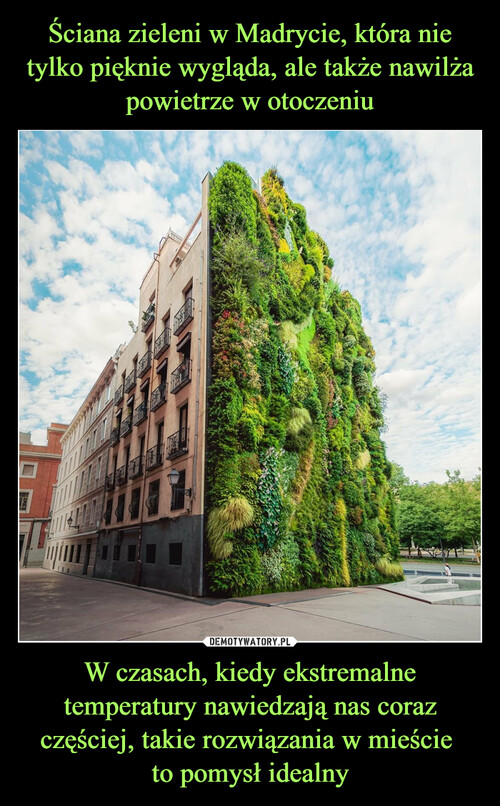 Ściana zieleni w Madrycie, która nie tylko pięknie wygląda, ale także nawilża powietrze w otoczeniu W czasach, kiedy ekstremalne temperatury nawiedzają nas coraz częściej, takie rozwiązania w mieście 
to pomysł idealny