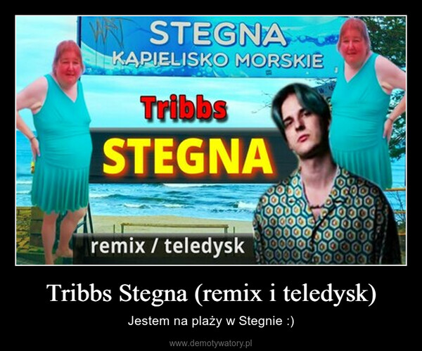 Tribbs Stegna (remix i teledysk) – Jestem na plaży w Stegnie :) 