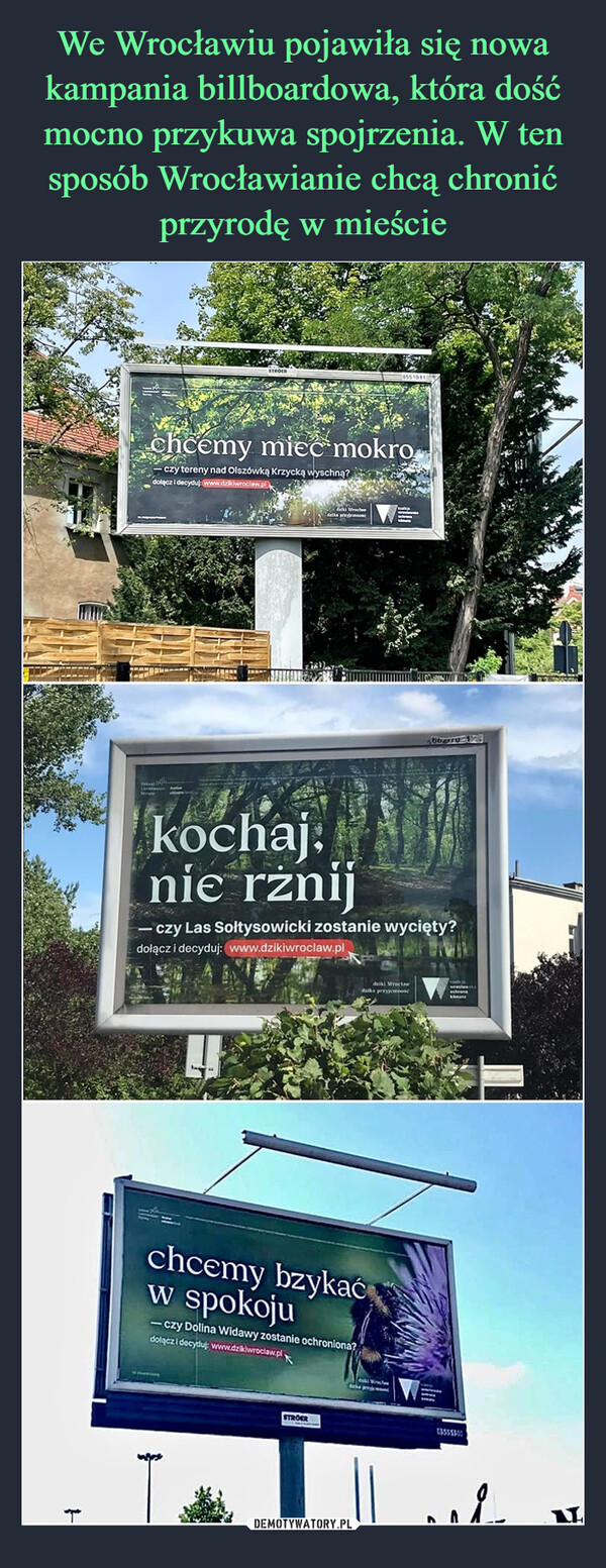 We Wrocławiu pojawiła się nowa kampania billboardowa, która dość mocno przykuwa spojrzenia. W ten sposób Wrocławianie chcą chronić przyrodę w mieście