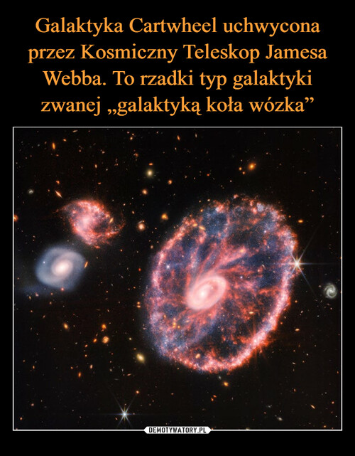 Galaktyka Cartwheel uchwycona przez Kosmiczny Teleskop Jamesa Webba. To rzadki typ galaktyki zwanej „galaktyką koła wózka”