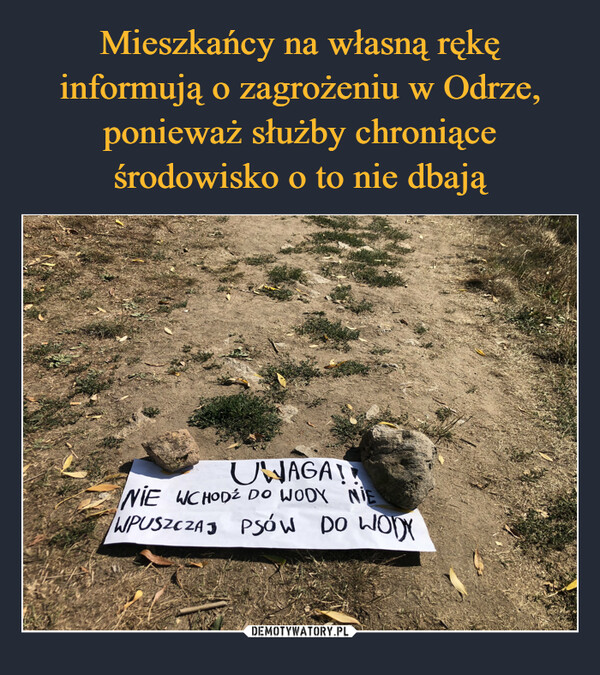 Mieszkańcy na własną rękę informują o zagrożeniu w Odrze, ponieważ służby chroniące środowisko o to nie dbają