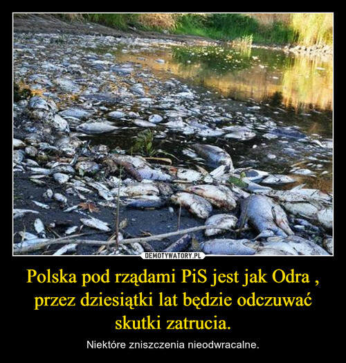 Polska pod rządami PiS jest jak Odra , przez dziesiątki lat będzie odczuwać skutki zatrucia.