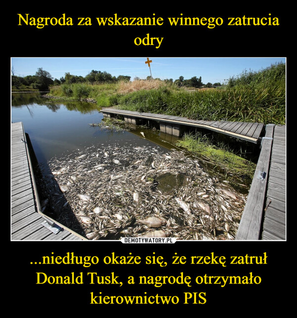 ...niedługo okaże się, że rzekę zatruł Donald Tusk, a nagrodę otrzymało kierownictwo PIS –  