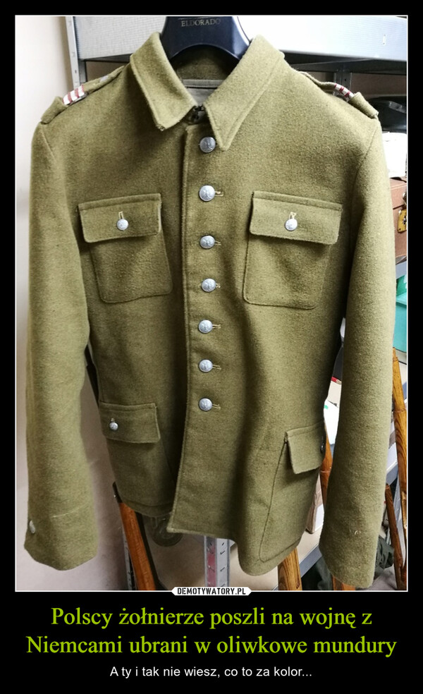 Polscy żołnierze poszli na wojnę z Niemcami ubrani w oliwkowe mundury – A ty i tak nie wiesz, co to za kolor... 