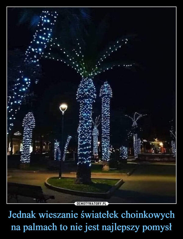 Jednak wieszanie światełek choinkowych na palmach to nie jest najlepszy pomysł –  