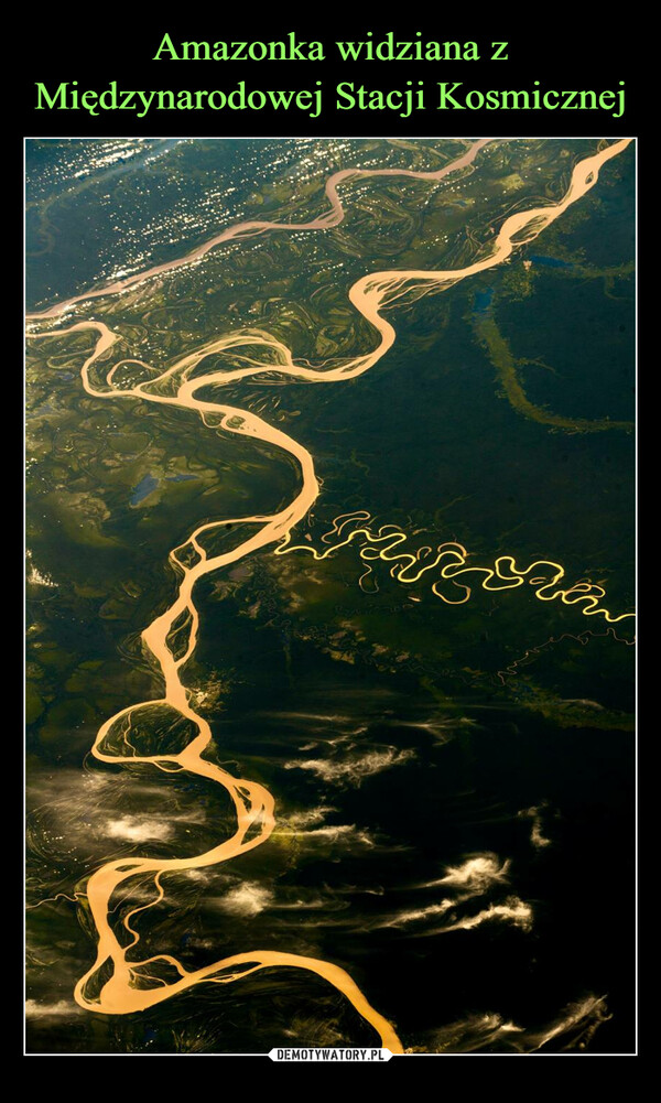 Amazonka widziana z Międzynarodowej Stacji Kosmicznej