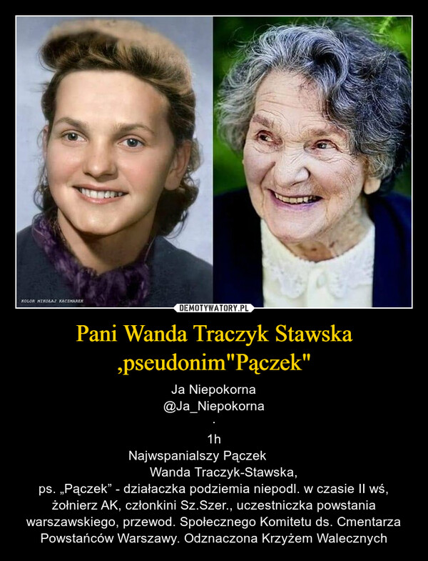Pani Wanda Traczyk Stawska ,pseudonim"Pączek" – Ja Niepokorna@Ja_Niepokorna·1hNajwspanialszy Pączek ❤️ 