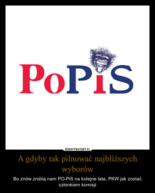 A gdyby tak pilnować najbliższych wyborów – Bo znów zrobią nam PO-PiS na kolejne lata. PKW jak zostać członkiem komisji Popis