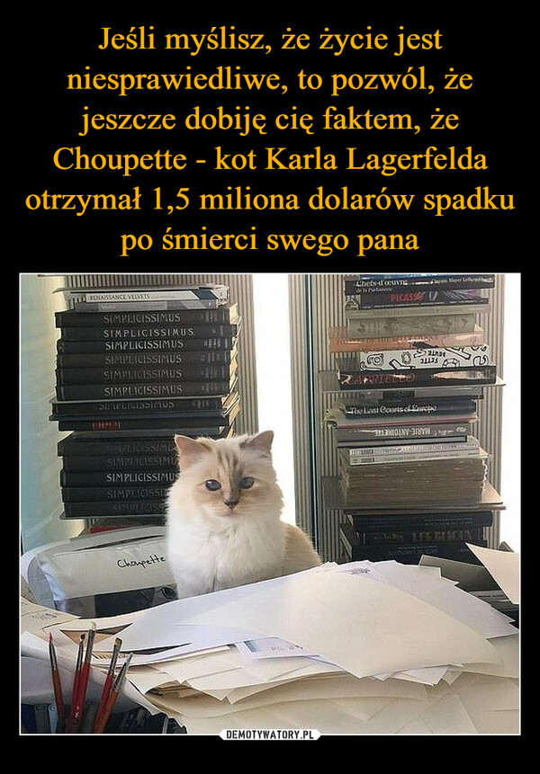 Jeśli myślisz, że życie jest niesprawiedliwe, to pozwól, że jeszcze dobiję cię faktem, że Choupette - kot Karla Lagerfelda otrzymał 1,5 miliona dolarów spadku po śmierci swego pana