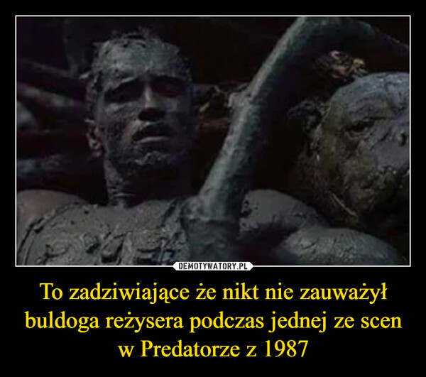 To zadziwiające że nikt nie zauważył buldoga reżysera podczas jednej ze scen w Predatorze z 1987 –  