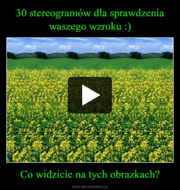 Co widzicie na tych obrazkach? –  2012