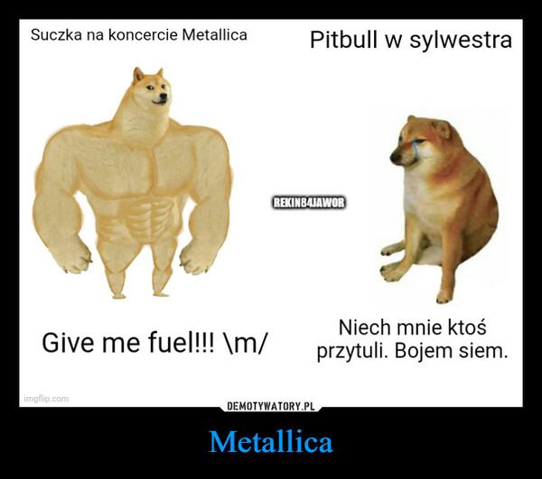 Metallica –  Suczka na koncercie MetallicaGive me fuel!!! \m/imgflip.comPitbull w sylwestraREKIN84JAWORNiech mnie ktośprzytuli. Bojem siem.