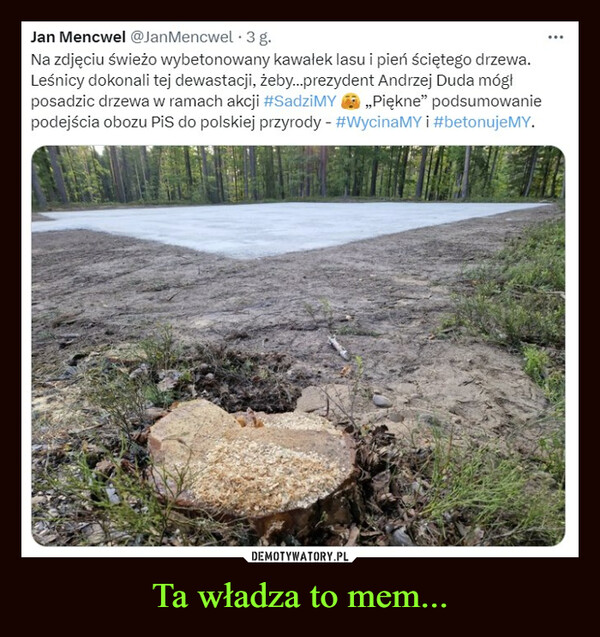 Ta władza to mem... –  Jan Mencwel @JanMencwel .3 g.Na zdjęciu świeżo wybetonowany kawałek lasu i pień ściętego drzewa.Leśnicy dokonali tej dewastacji, żeby...prezydent Andrzej Duda mógłposadzic drzewa w ramach akcji #Sadzi MY ,,Piękne" podsumowaniepodejścia obozu PiS do polskiej przyrody - #WycinaMY i #betonujeMY....