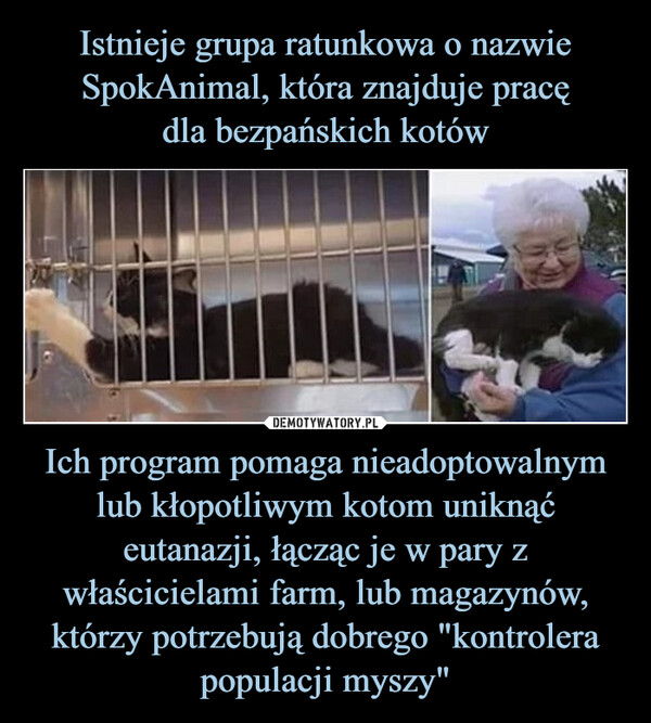 Ich program pomaga nieadoptowalnym lub kłopotliwym kotom uniknąć eutanazji, łącząc je w pary z właścicielami farm, lub magazynów, którzy potrzebują dobrego "kontrolera populacji myszy" –  