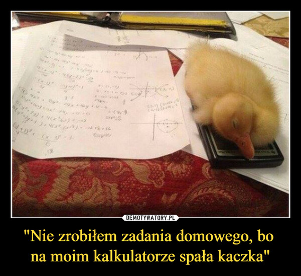 "Nie zrobiłem zadania domowego, bo na moim kalkulatorze spała kaczka" –  wertesordira-12*8*36(18)F Fournie.R1-21606(x 3-4:on the(1.(0,2), (he figh...(4.97 Bayt 20 ye