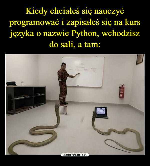Kiedy chciałeś się nauczyć programować i zapisałeś się na kurs języka o nazwie Python, wchodzisz do sali, a tam: