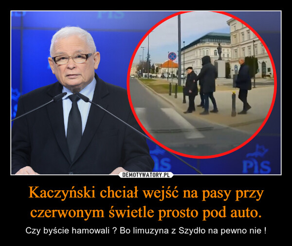 Kaczyński chciał wejść na pasy przy czerwonym świetle prosto pod auto. – Czy byście hamowali ? Bo limuzyna z Szydło na pewno nie ! Sld4SU