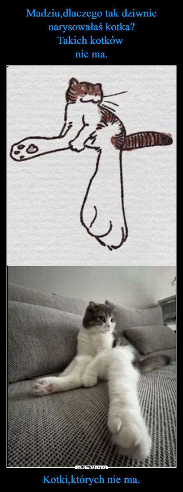 Madziu,dlaczego tak dziwnie narysowałaś kotka?
Takich kotków 
nie ma. Kotki,których nie ma.