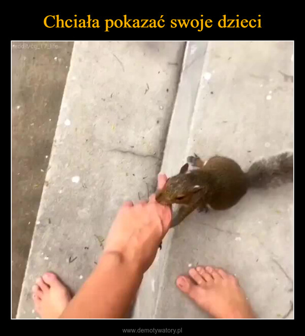  –  reddit/cg_17_life