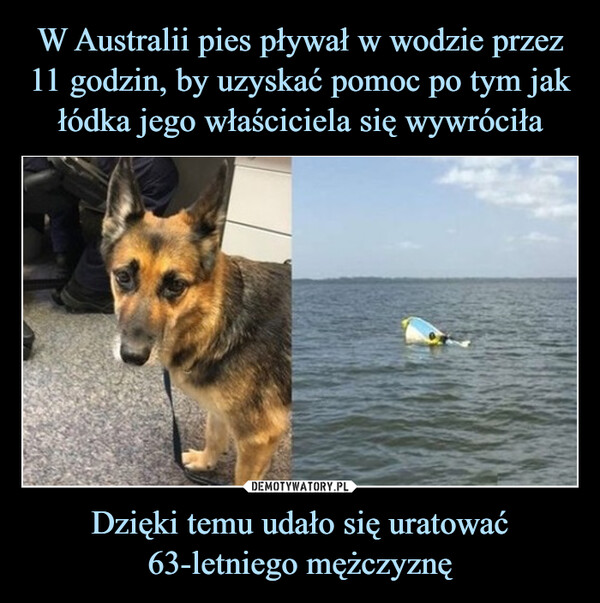 Dzięki temu udało się uratować 63-letniego mężczyznę –  